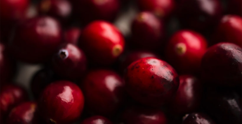 Brusnice – superbobice koje štite zube!